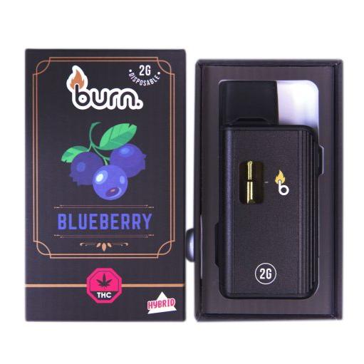 BURN THC DISPOSABLE VAPE PEN | 2000MG